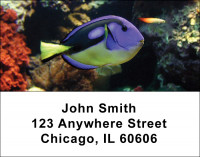 Tropical Fish Address Labels | LBANI-01