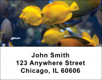 Tropical Fish Address Labels | LBANI-01
