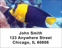 Tropical Fish Address Labels | LBANI-01