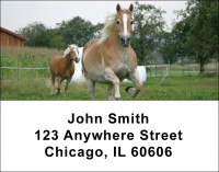 Horses Checks Address Labels | LBANI-02