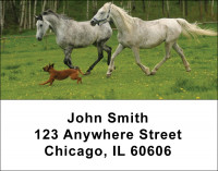 Horses Checks Address Labels | LBANI-02