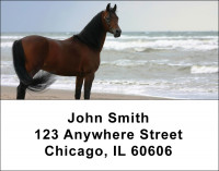 Horses Checks Address Labels | LBANI-02