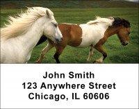 Horses Checks Address Labels | LBANI-02