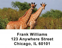 Safari Wildlife Checks Address Labels | LBANI-03