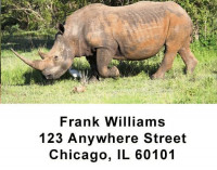 Safari Wildlife Checks Address Labels | LBANI-03