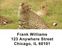 Safari Wildlife Checks Address Labels | LBANI-03