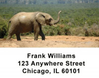 Safari Wildlife Checks Address Labels | LBANI-03