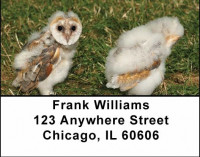 Barnyard Address Labels | LBANI-04
