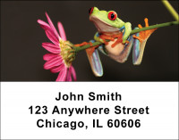 Frogs Address Labels | LBANI-09