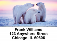 Polar Bears Address Labels | LBANI-13