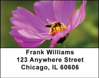 Bees Address Labels | LBANI-14