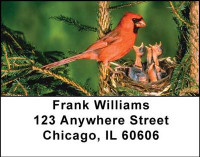 Baby Birds Address Labels | LBANI-16