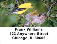 Baby Birds Address Labels | LBANI-16