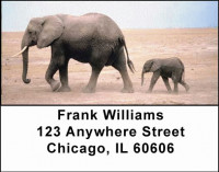 Elephants Address Labels | LBANI-22