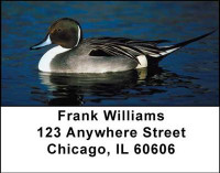 Ducks Address Labels | LBANI-30