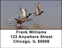 Ducks Address Labels | LBANI-30
