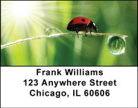 Ladybugs Address Labels | LBANI-32