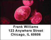 Jellyfishes Address Labels | LBANI-37