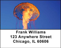 Jellyfishes Address Labels | LBANI-37