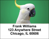 Cockatoos Address Labels | LBANI-42