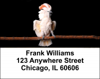 Cockatoos Address Labels | LBANI-42