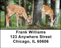 Deer Fawn Address Labels | LBANI-57