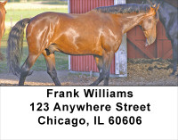 Scenic Horse Address Labels | LBANJ-33