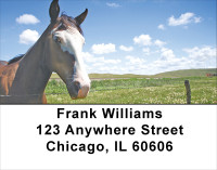 Scenic Horse Address Labels | LBANJ-33