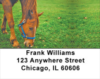 Scenic Horse Address Labels | LBANJ-33