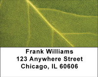 Falling Leaves Examined Address Labels | LBBBA-23