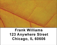 Falling Leaves Examined Address Labels | LBBBA-23