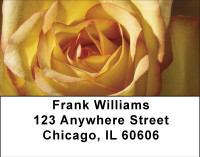 Everything Is Coming Up Roses Address Labels | LBBBA-24