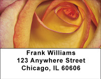Everything Is Coming Up Roses Address Labels | LBBBA-24