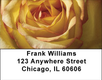 Everything Is Coming Up Roses Address Labels | LBBBA-24