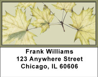 Subtle Fall Elegance Address Labels | LBBBA-25
