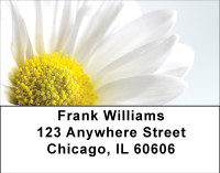Daisy Dreamin' Address Labels | LBBBA-27