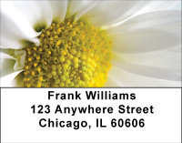 Daisy Dreamin' Address Labels | LBBBA-27