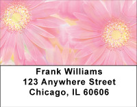 Pink Dreams Address Labels | LBBBA-32