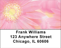 Pink Dreams Address Labels | LBBBA-32