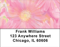 Pink Dreams Address Labels | LBBBA-32