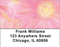Pink Dreams Address Labels | LBBBA-32