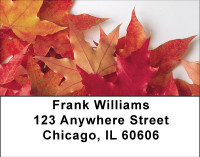 Fallen Colors On Fire Address Labels | LBBBA-50