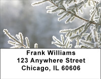 Snowy Look At Winter Address Labels | LBBBA-55