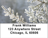 Snowy Look At Winter Address Labels | LBBBA-55