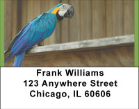 Perky Parrots Address Labels | LBBBA-67