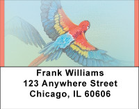 Parrots On Parade Address Labels | LBBBA-68