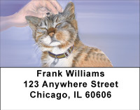 Affectionate Cats Address Labels | LBBBA-72