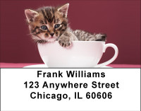 Pretty In Pink Address Labels | LBBBA-73