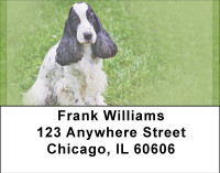 Adorable Cocker Spaniels Address Labels | LBBBA-78