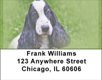 Adorable Cocker Spaniels Address Labels | LBBBA-78